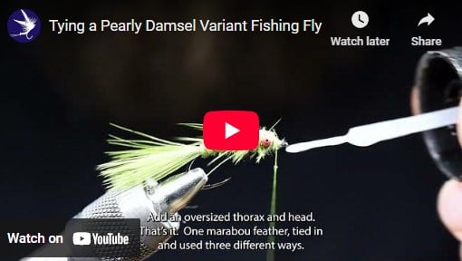 Tying a Pearly Damsel Variant Fishing Fly